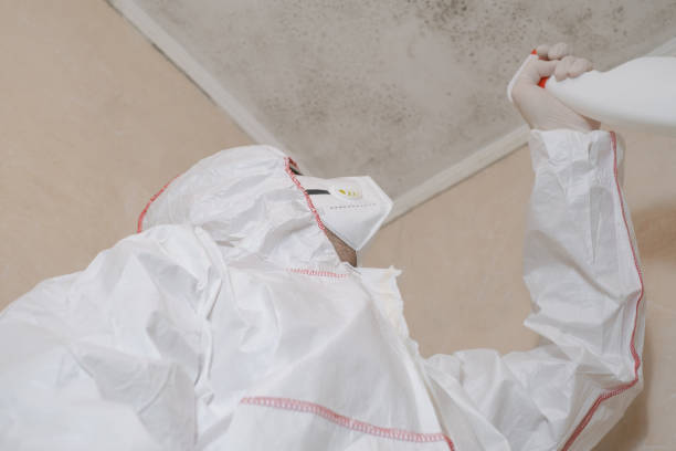 Best Toxic Mold Removal  in Waukon, IA